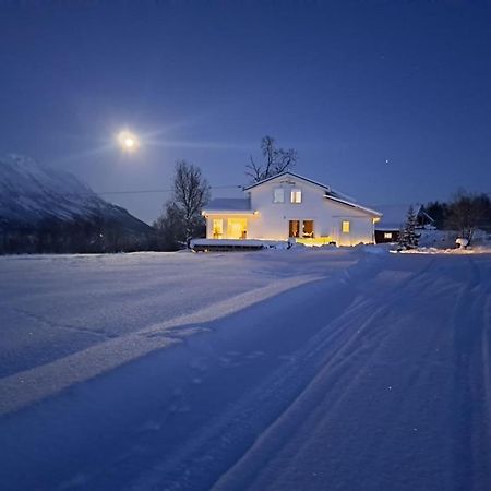 Mountainside Lodge - Breivikeidet Tromsø Exterior foto